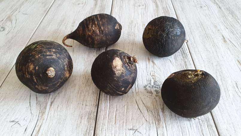 Ridichea - zázračný lék, foto 1