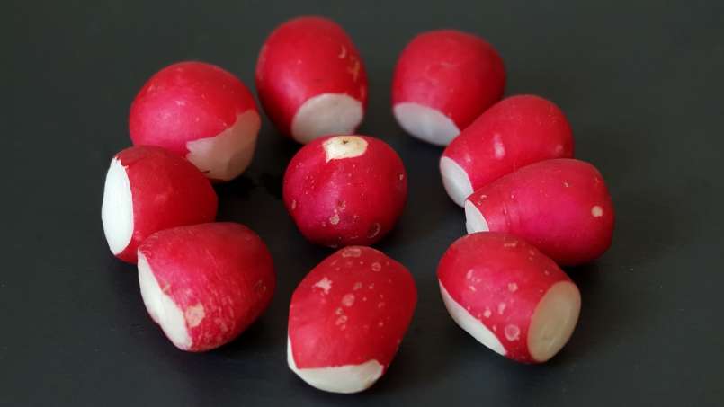 Ridichea - zázračný lék, foto 2