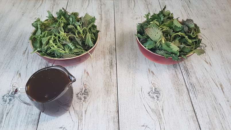 Kopřivový sirup s medem, foto 4