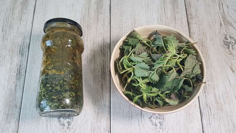 Kopřivový sirup s medem, foto 6