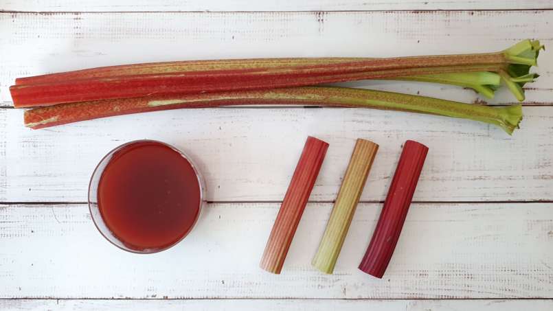 Rebarborový sirup, foto 2