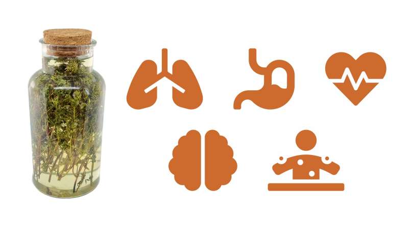 Tymiánový macerát s medem, foto 1