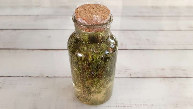 Tymiánový macerát s medem, foto 6