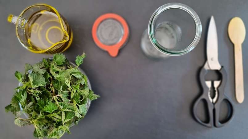 Kopřivový olej získaný přenosem, foto 2