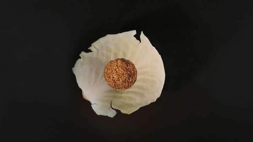 Obklad s lojem a zelnými listy, foto 9