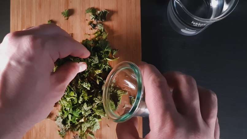 Kopřivová tinktura, foto 2