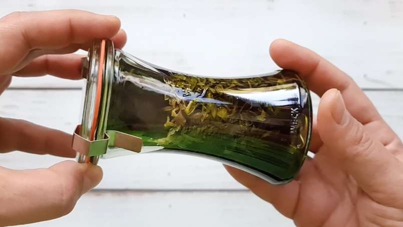 Kopřivová tinktura, foto 3