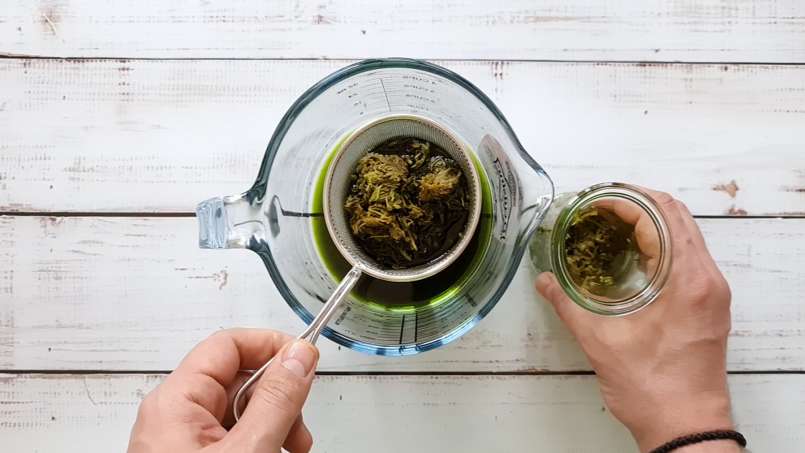 Kopřivová tinktura, foto 5