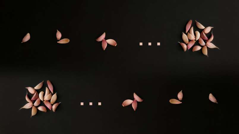 Celý česnek ráno na lačno, foto 1