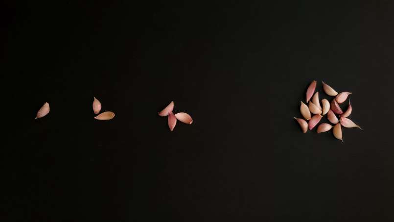 Celý česnek ráno na lačno, foto 2