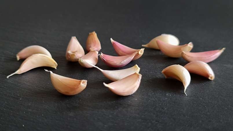 Celý česnek ráno na lačno, foto 11