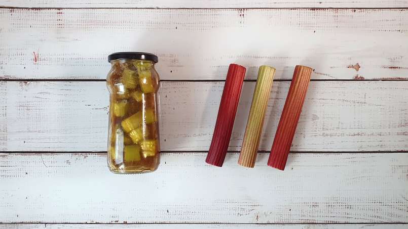 Rebarborový macerát s medem a zázvorem, foto 3