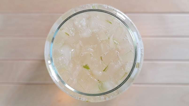 Macerát z aloe vera s medem, foto 4